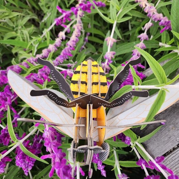 HONEY BEE MODEL Flapping Wing Eco Friendly Cardboard Honeybee Bee Figure - Picture 11 of 11